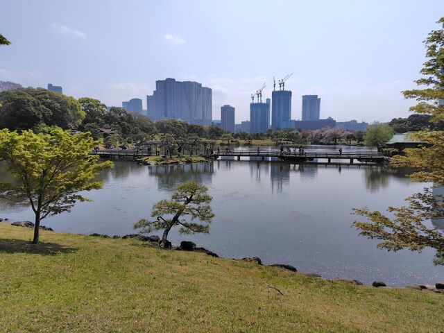 20250412hama02.JPG