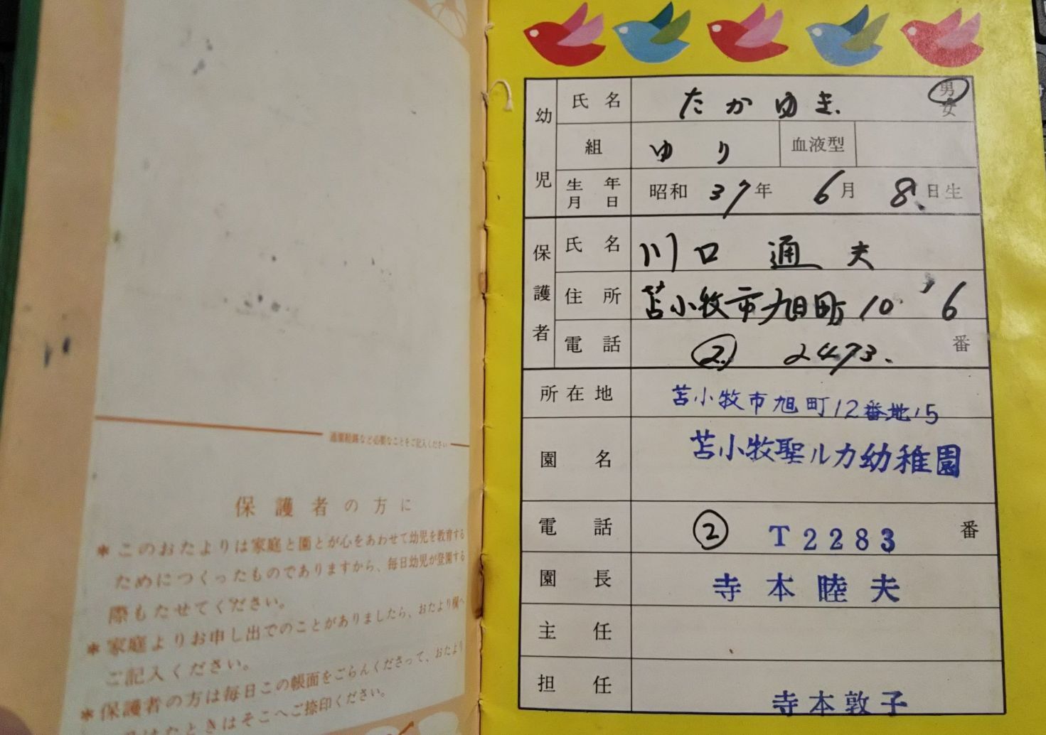 流出　幼稚園先生 