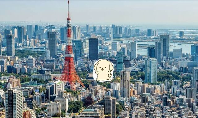 tokyosiromame.jpg